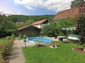 Holiday home in Thuringia with private terrace use of a garden and pool in Römhild, Hildburghausen-Suhl